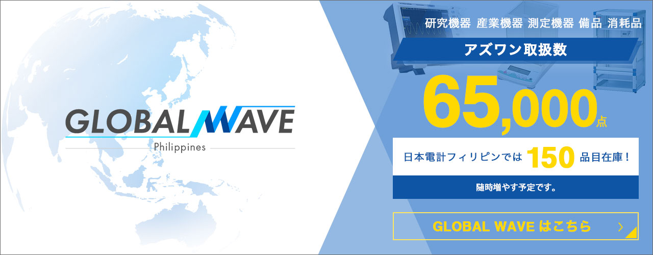 GLOBAL WAVE EC SITE