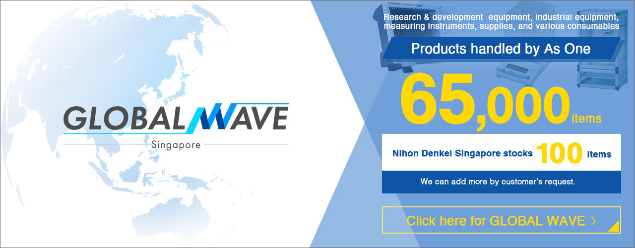 GLOBAL WAVE EC SITE