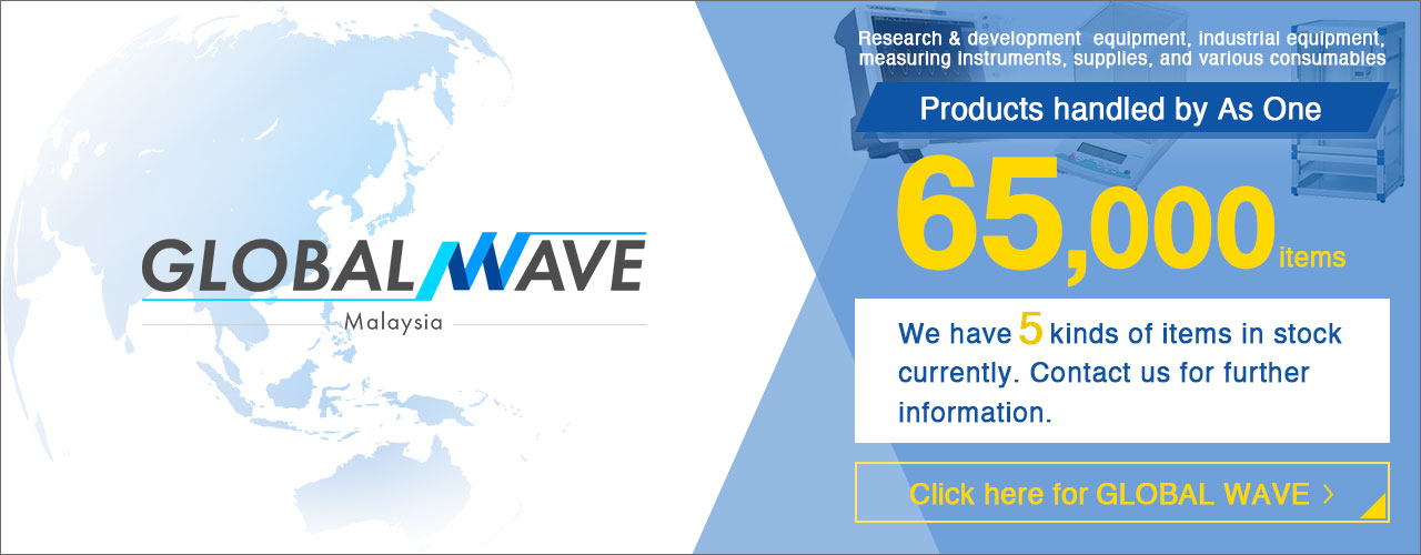 GLOBAL WAVE EC SITE